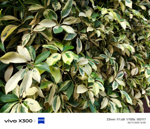 vivo X300 開箱實測 2 億蔡司「街拍神器」實戰！它如何打破旗艦「大機定律」？