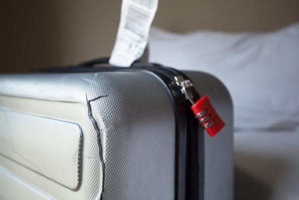 照片來源：網上圖片