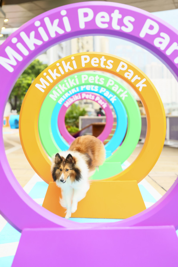 東九龍首個商場寵物公園！Mikiki「Pets Park」逾5,000呎戶外玩樂空間 8大設施/巨型法鬥柴犬打卡