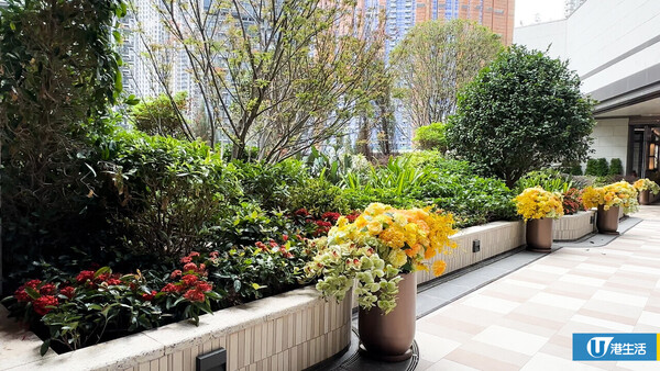 28萬全屋裝修 422呎法式奶油風康城2房單位 1設計防止新生嬰兒/毛孩撞親