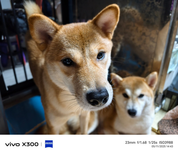 vivo X300 開箱實測 2 億蔡司「街拍神器」實戰！它如何打破旗艦「大機定律」？