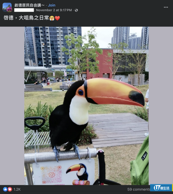 啟德驚現巨型大嘴鳥！街坊以為「假公仔」揭真身竟是人氣網紅：生活比人更精彩