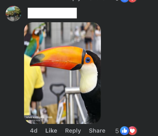 啟德驚現巨型大嘴鳥！街坊以為「假公仔」揭真身竟是人氣網紅：生活比人更精彩