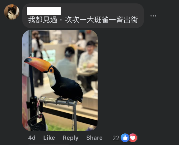 啟德驚現巨型大嘴鳥！街坊以為「假公仔」揭真身竟是人氣網紅：生活比人更精彩