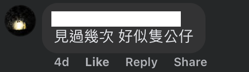 啟德驚現巨型大嘴鳥！街坊以為「假公仔」揭真身竟是人氣網紅：生活比人更精彩