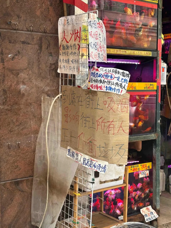 內地旅客見一物驚嘆香港禁煙力度 網民：香港簡直是討厭煙味的天堂 