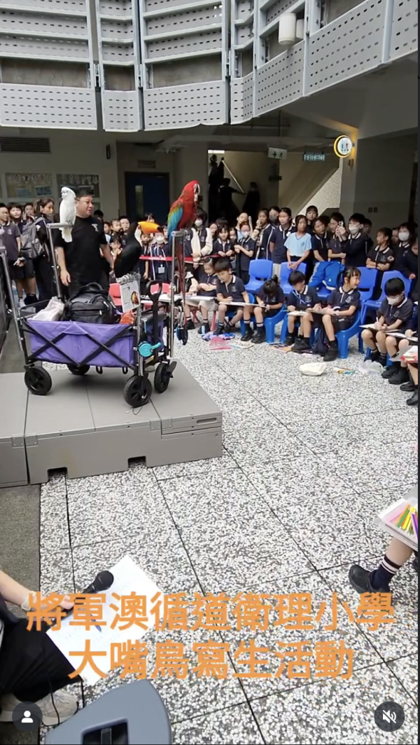 啟德驚現巨型大嘴鳥！街坊以為「假公仔」揭真身竟是人氣網紅：生活比人更精彩