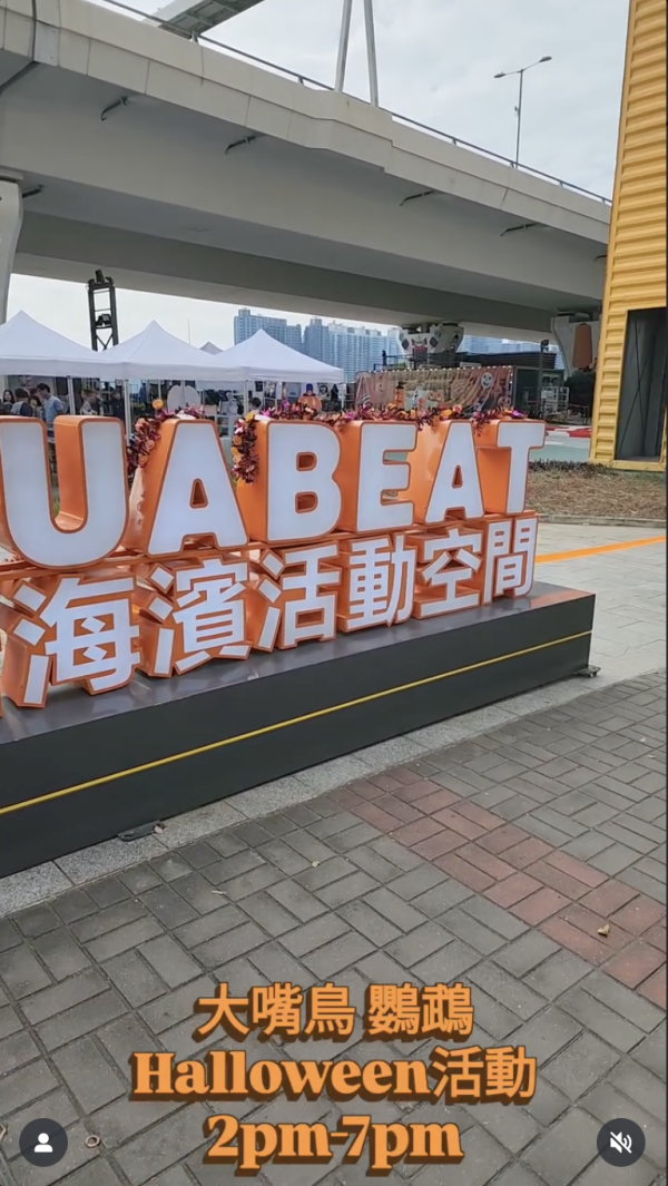 啟德驚現巨型大嘴鳥！街坊以為「假公仔」揭真身竟是人氣網紅：生活比人更精彩