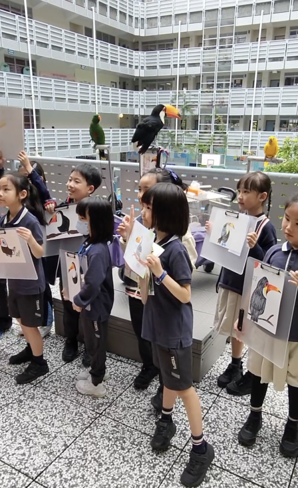 啟德驚現巨型大嘴鳥！街坊以為「假公仔」揭真身竟是人氣網紅：生活比人更精彩