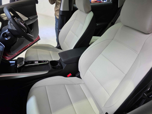  196PS、465Nm！MG ZS HEV 混能動力揭秘 歐洲得獎王比你想像中「好力」？WLTP 油耗數字令人震驚