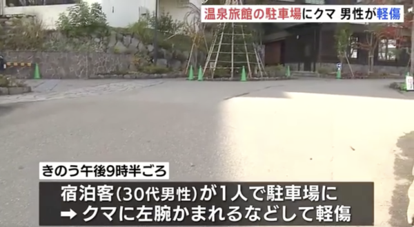 日本熊災｜各地溫泉旅館接連被熊入侵！熊隻闖入酒店搞破壞兼襲擊遊客 