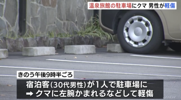 日本熊災｜各地溫泉旅館接連被熊入侵！熊隻闖入酒店搞破壞兼襲擊遊客 