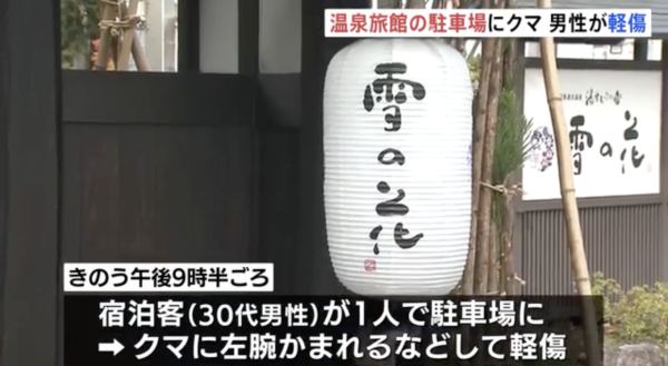 日本熊災｜各地溫泉旅館接連被熊入侵！熊隻闖入酒店搞破壞兼襲擊遊客 