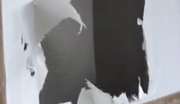 日本熊災｜各地溫泉旅館接連被熊入侵！熊隻闖入酒店搞破壞兼襲擊遊客 