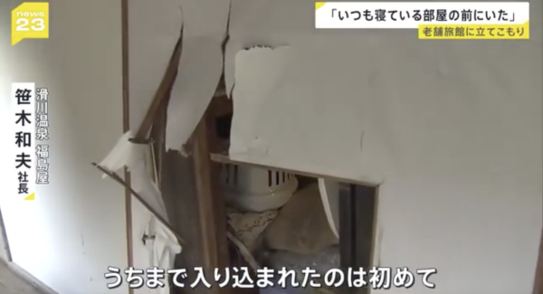 日本熊災｜各地溫泉旅館接連被熊入侵！熊隻闖入酒店搞破壞兼襲擊遊客 