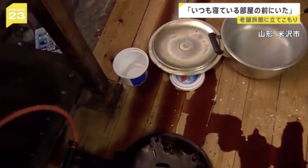 日本熊災｜各地溫泉旅館接連被熊入侵！熊隻闖入酒店搞破壞兼襲擊遊客 