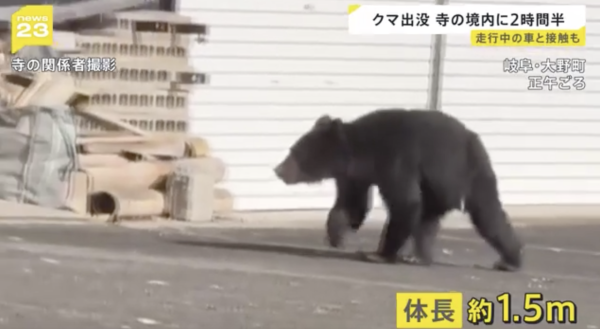 2025年日本年度漢字出爐!「熊」字首度當選 盤點過往20年年度漢字