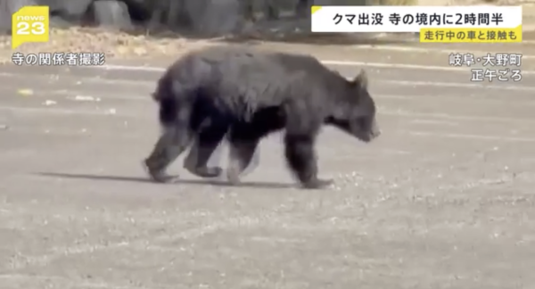 2025年日本年度漢字出爐!「熊」字首度當選 盤點過往20年年度漢字