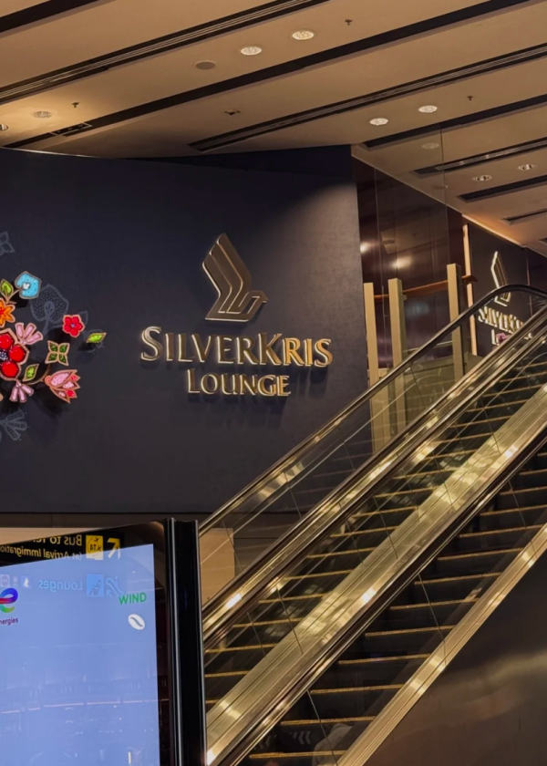 照片來源：小紅書