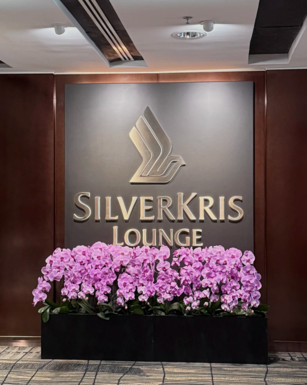 照片來源：小紅書