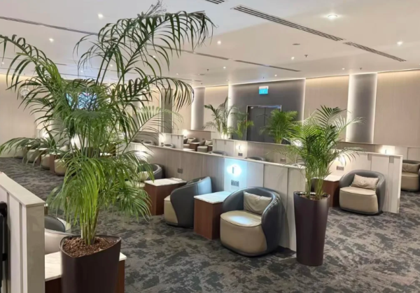 照片來源：小紅書