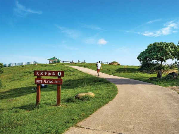 2025最後兩場！獅子座流星雨11.18現身、捕捉每小時10粒流星！附拍攝教學