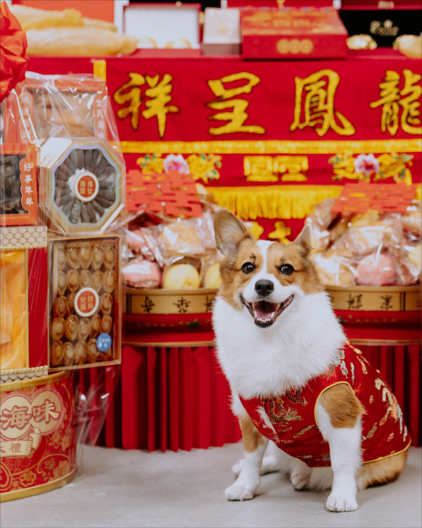 29歲女藝人曝結婚喜訊奢華過大禮 豪晒10對龍鳳鈪！轉型KOL後吸金力驚人