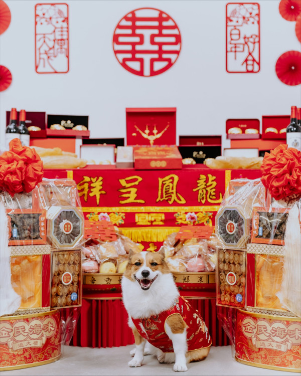 29歲女藝人曝結婚喜訊奢華過大禮 豪晒10對龍鳳鈪！轉型KOL後吸金力驚人