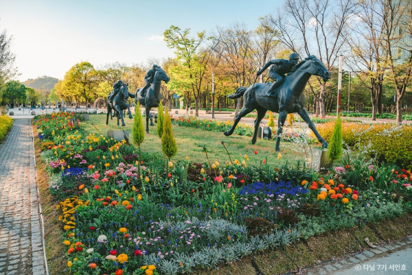 首爾秋季景點6森林公園賞秋葉秘境︰天空公園紫芒、首爾林銀杏影靚相 