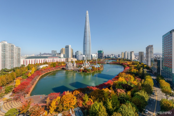 首爾秋季景點6森林公園賞秋葉秘境︰天空公園紫芒、首爾林銀杏影靚相 