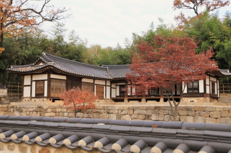 首爾秋季景點6森林公園賞秋葉秘境︰天空公園紫芒、首爾林銀杏影靚相 