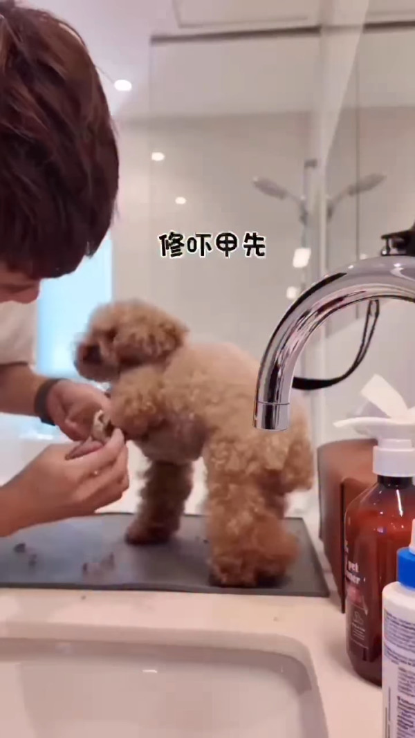  TVB上位小生IG宣布轉戰新事業 39歲疑鋪路轉行：「係一個轉捩點」