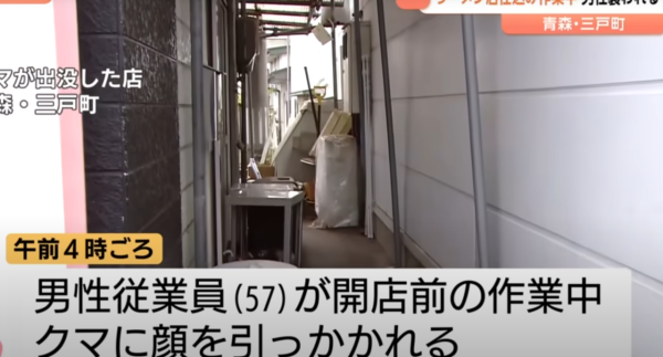 照片來源:YouTube @TheNewsDig 照片來源:YouTube @TheNewsDig