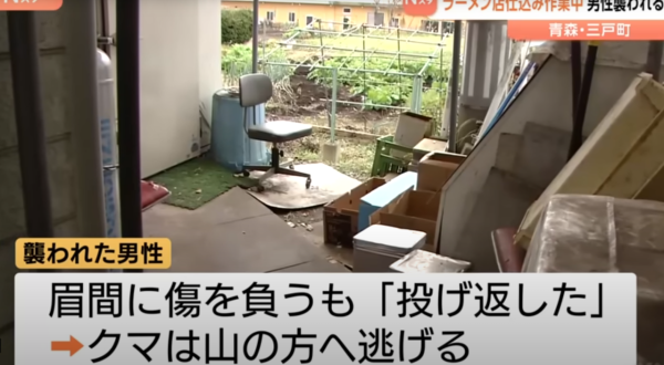 照片來源:YouTube @TheNewsDig 照片來源:YouTube @TheNewsDig