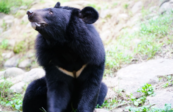 照片來源:網上圖片 照片來源:網上圖片