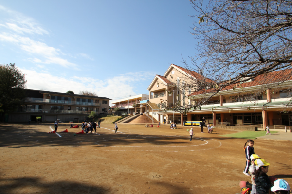 照片來源:網上圖片 照片來源:網上圖片