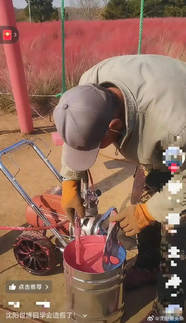 (圖片:小紅書) 內地植物園驚見人工粉紅花海?園方大方回應「造假」疑雲