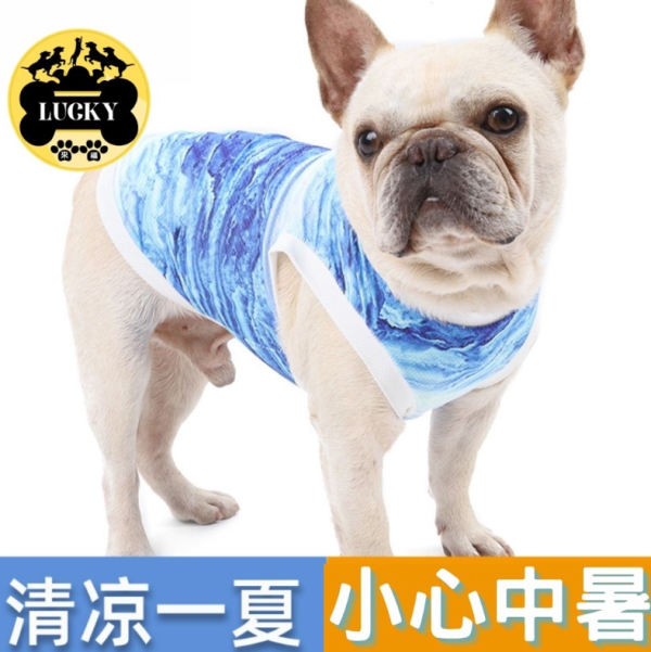 照片來源：網上圖片 