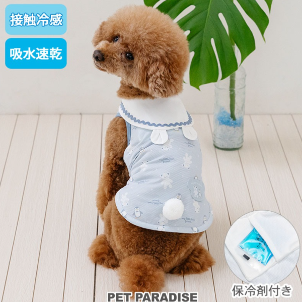 照片來源：網上圖片 