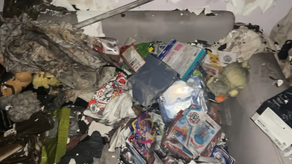 羅毓儀舊愛家中失火燒清光無家可歸 火劫慘況全公開「所有嘢都燒晒」