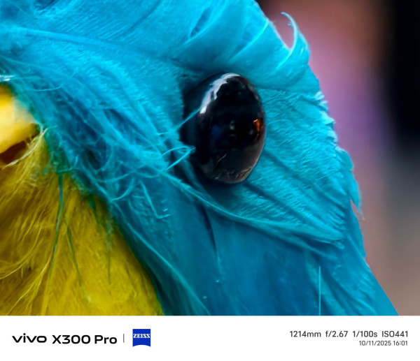 【開箱實測】vivo X300 Pro 挑戰單反？ 2 億像素長焦+CIPA 5.5 級防震可追加長焦鏡