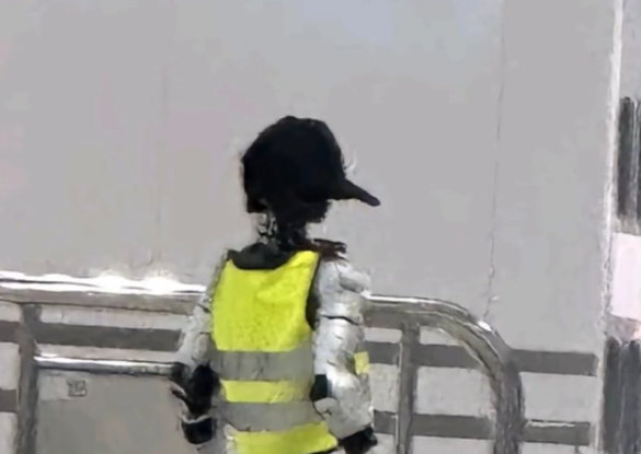 照片來源:網上圖片 照片來源:網上圖片