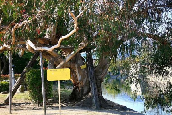 圖片來源:夢想看世界@小紅書 圖片來源:夢想看世界@小紅書