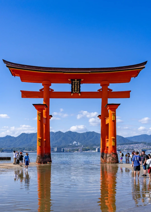 圖片來源:HMS Dreadnought@小紅書 圖片來源:HMS Dreadnought@小紅書