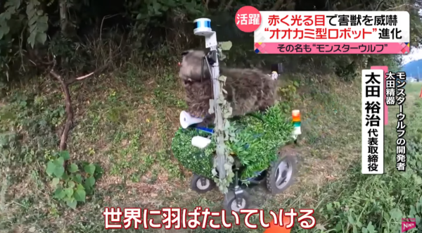 照片來源：日本電視台NEWS NNN