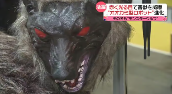 照片來源：日本電視台NEWS NNN