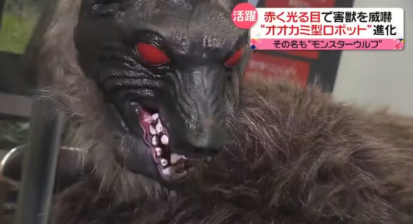 照片來源：日本電視台NEWS NNN