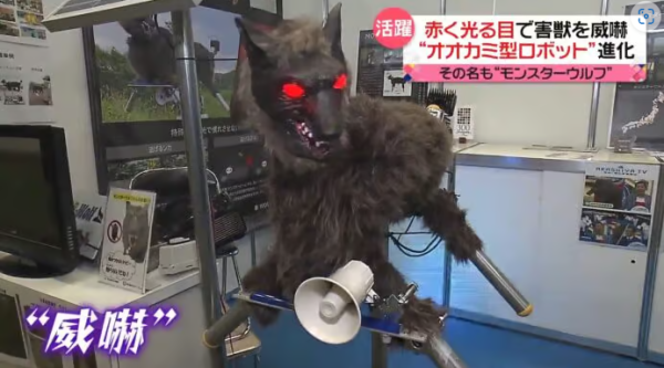 照片來源：日本電視台NEWS NNN