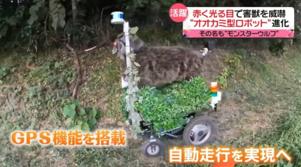 照片來源：日本電視台NEWS NNN