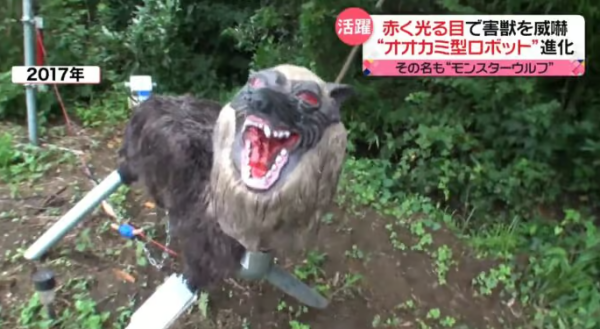 照片來源：日本電視台NEWS NNN